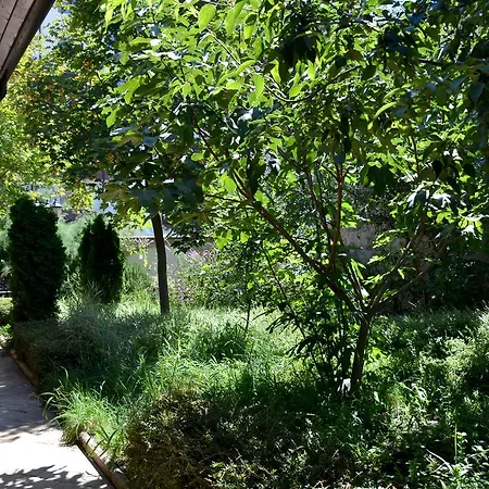 מלון דירות Apartcomplex Esteban נסבר
